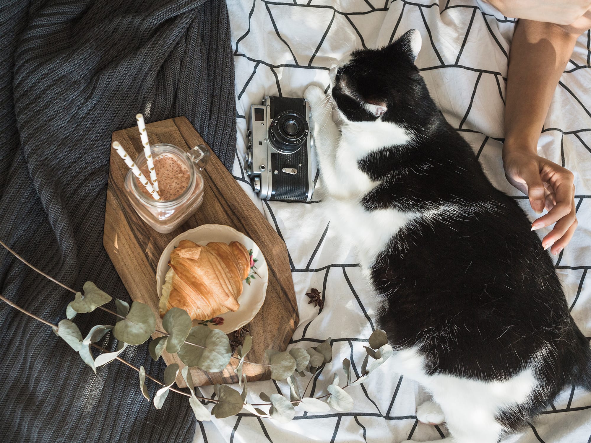 北城好物｜北台灣的生活專欄